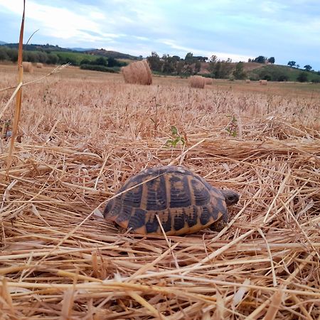 Agriturismo La Sorgente Fonteblanda Εξωτερικό φωτογραφία