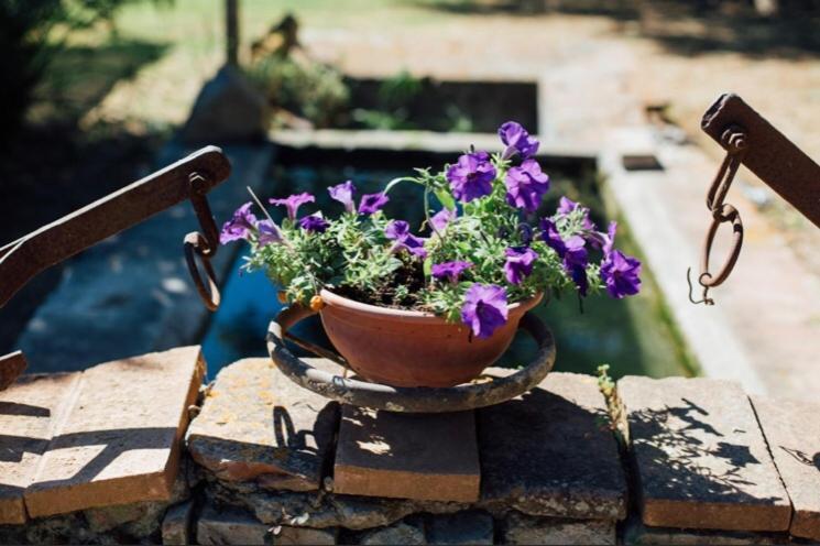 Agriturismo La Sorgente Fonteblanda Εξωτερικό φωτογραφία