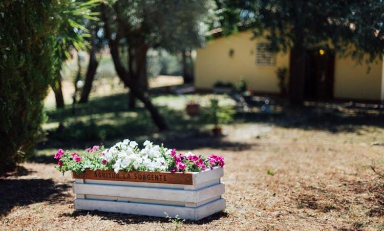 Agriturismo La Sorgente Fonteblanda Εξωτερικό φωτογραφία
