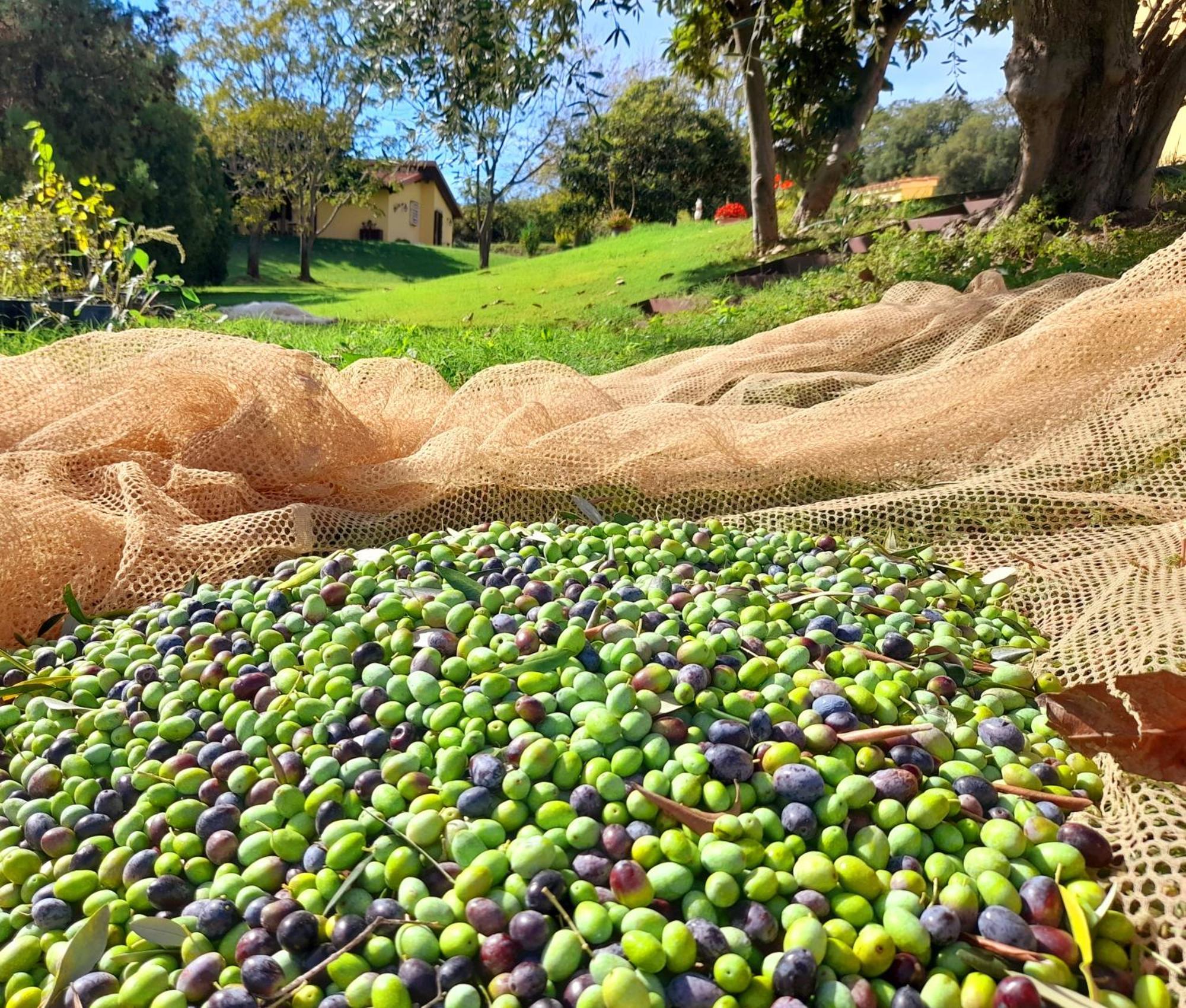 Agriturismo La Sorgente Fonteblanda Εξωτερικό φωτογραφία