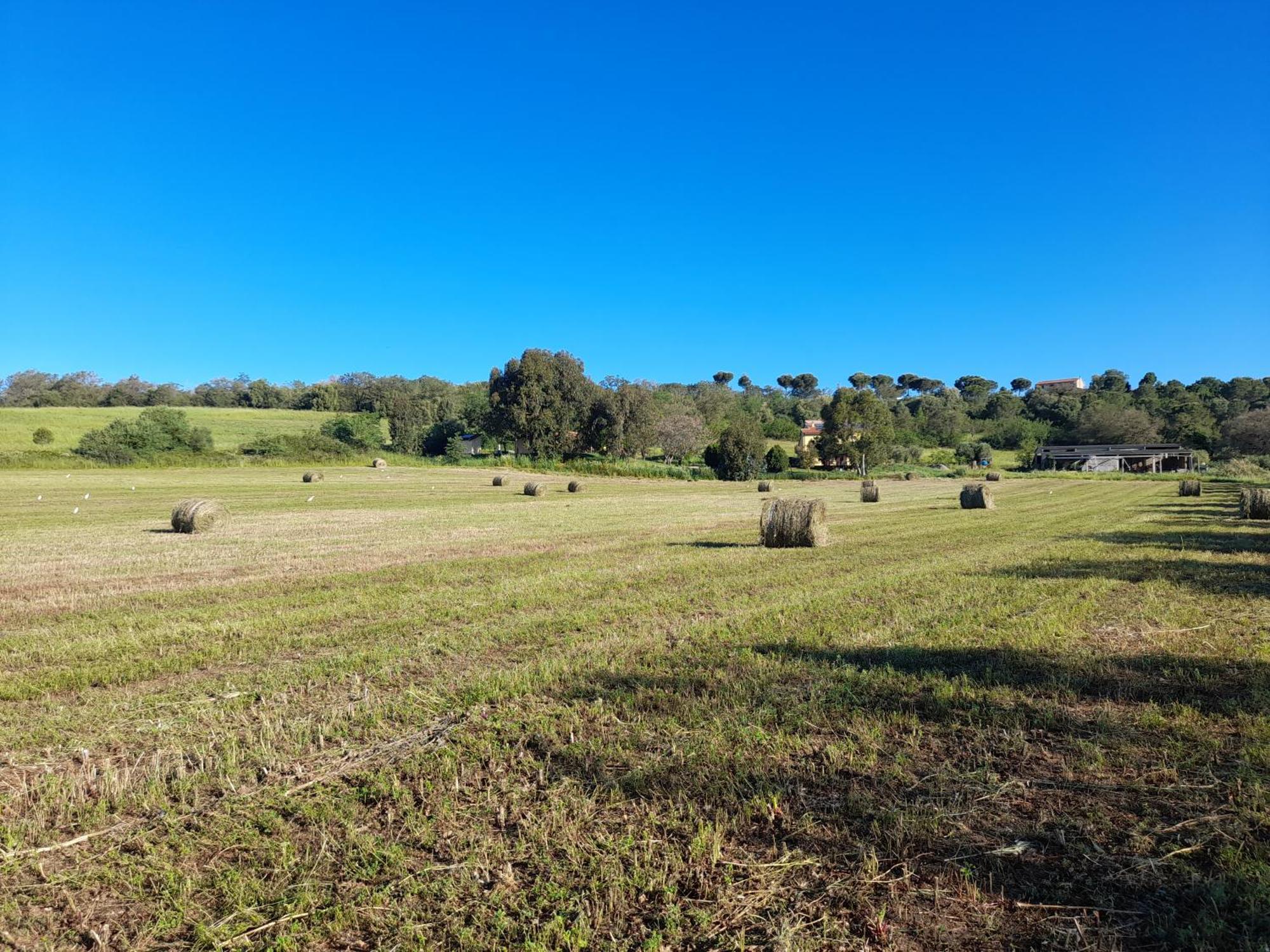 Agriturismo La Sorgente Fonteblanda Εξωτερικό φωτογραφία
